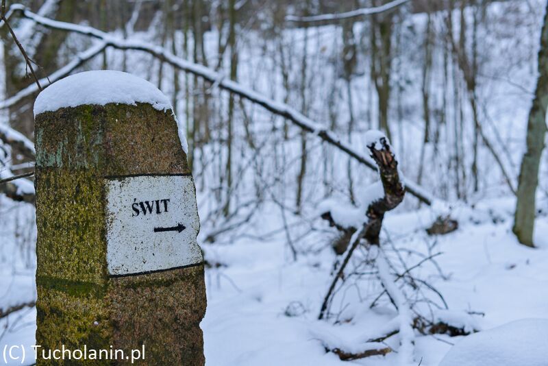 Zima w Świcie 19.01.2014 (fot. nadesłane)-12