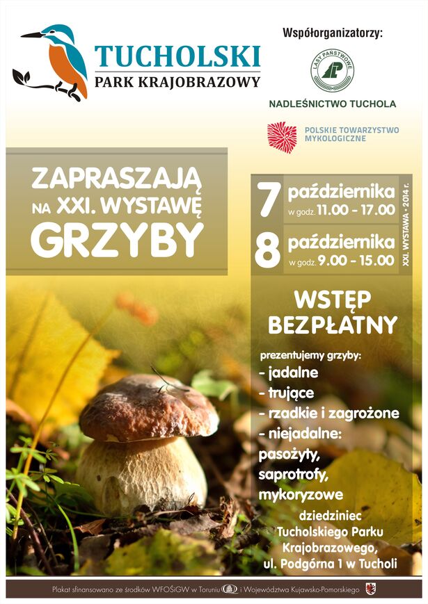 Wystawa grzybów 7,8,10.2014 TPK Tuchola